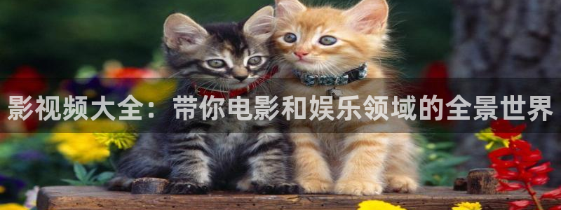 水蜜桃成人影院：影视频大全：带你电影和娱乐领域的全景世界