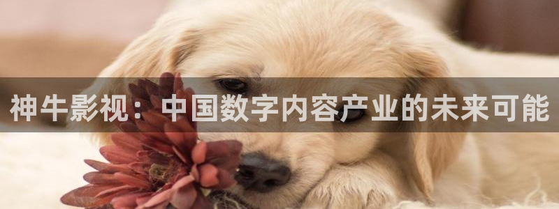 蜜桃免费影院cc红桃影院