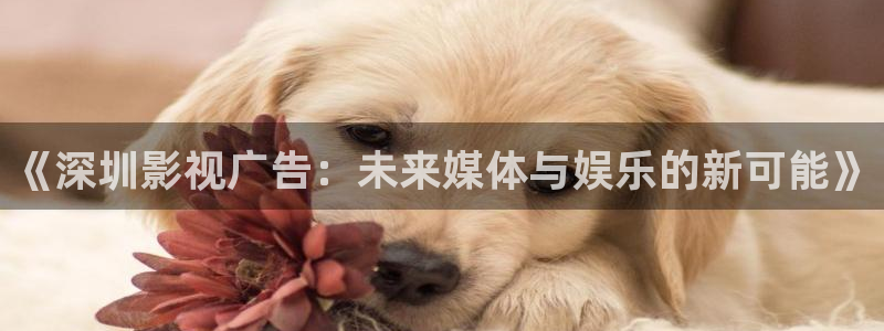 美丽小蜜桃神马影院